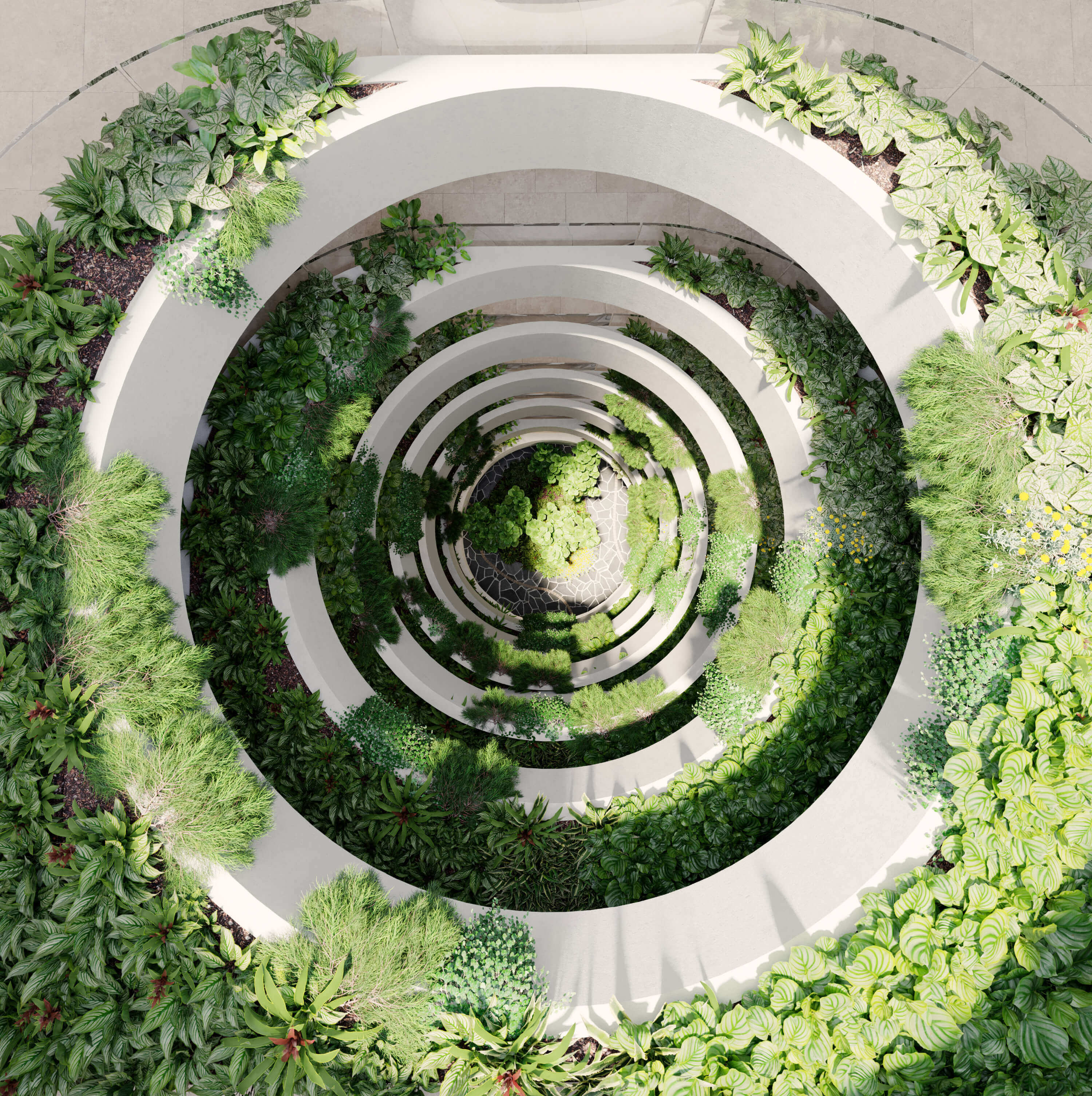 Oasis DevelopWise - Top Down View