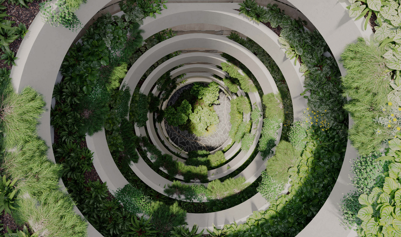 Oasis DevelopWise - Design Film